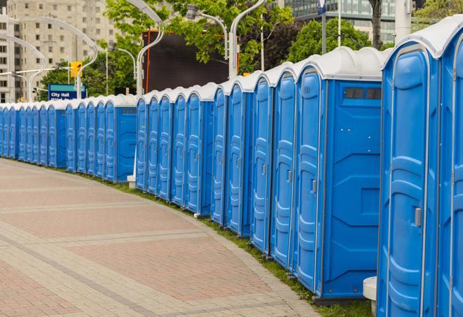 festive, colorfully decorated portable restrooms for a seasonal event in Anacortes WA